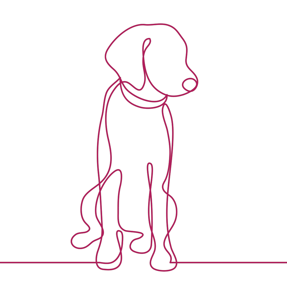 Continuous single line drawing of a dog